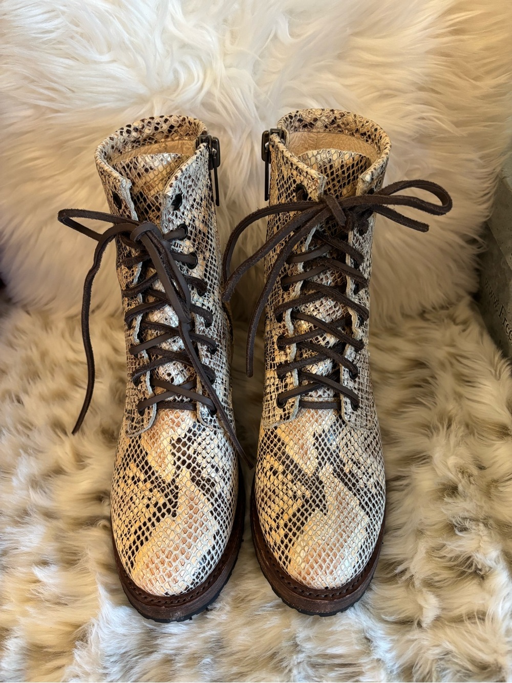 Freebird Snake print Cavalier 7